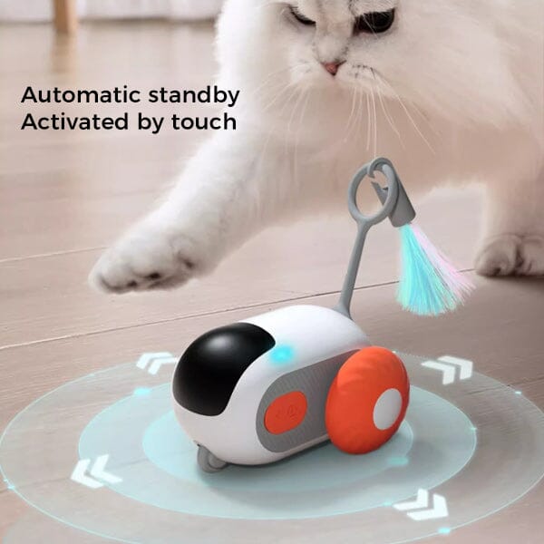 Gravity Run Sports Car Cat Toy