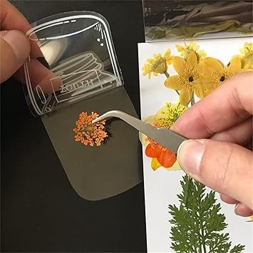 BlossomTabs DIY Transparent Bookmarks (Set of 80 Pcs)