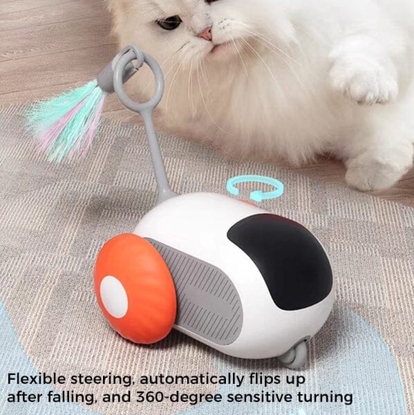 Gravity Run Sports Car Cat Toy