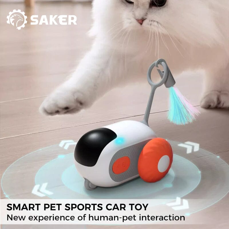 Gravity Run Sports Car Cat Toy