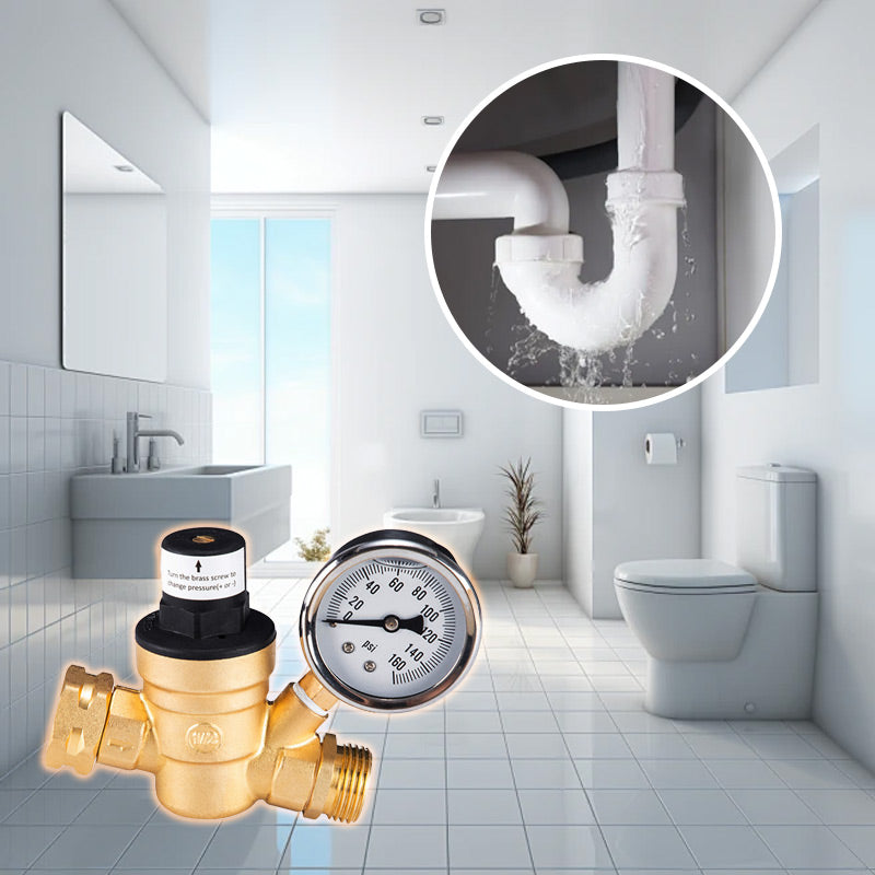 Lead-Free RV Water Pressure Regulator with Gauge